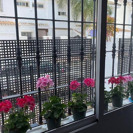 Studio -Patio Andaluz- 马尔韦利亚 外观 照片