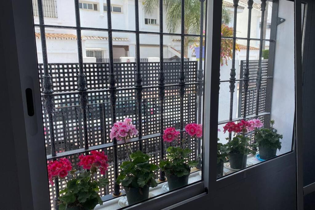 Studio -Patio Andaluz- 马尔韦利亚 外观 照片