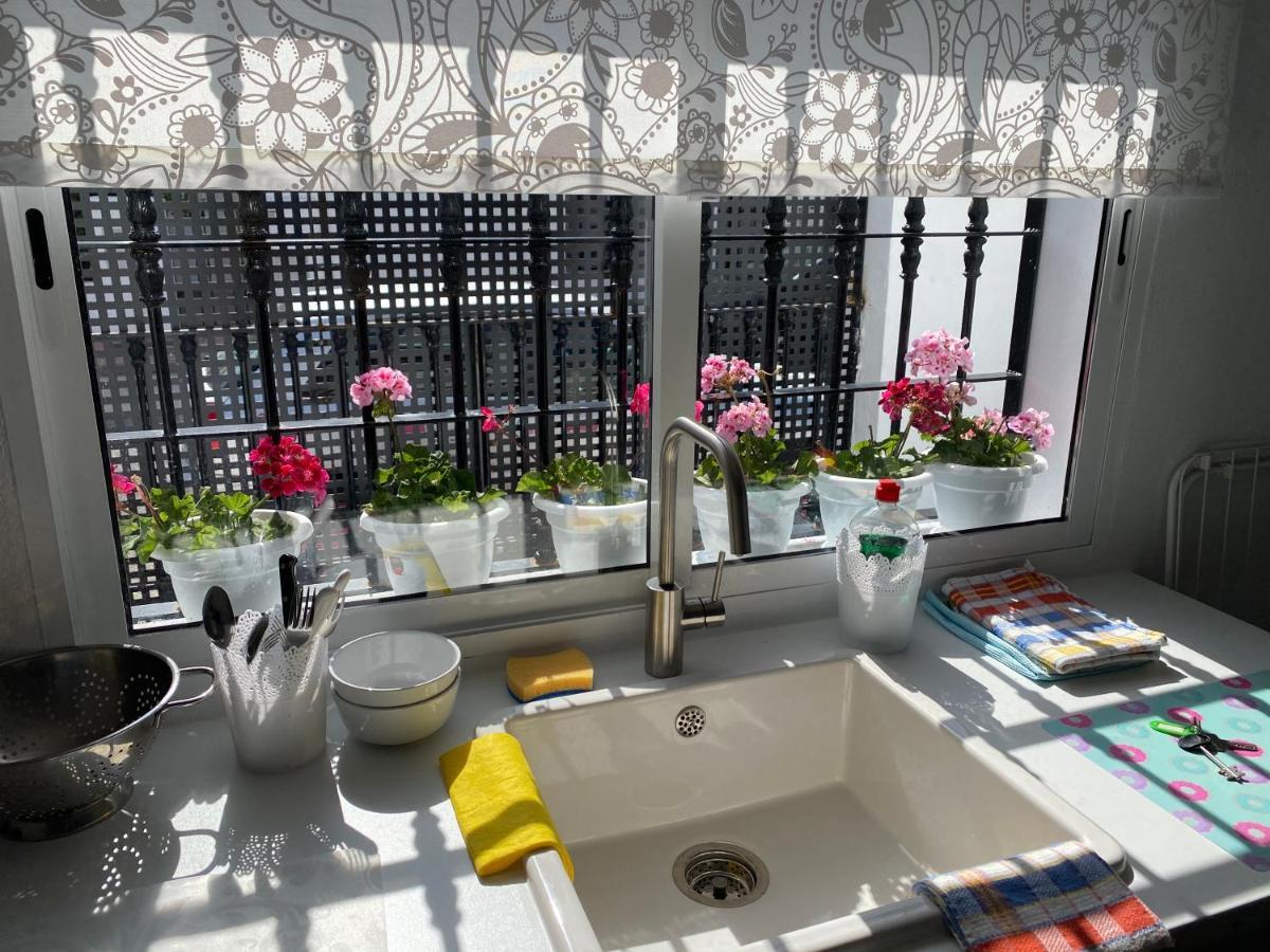 Studio -Patio Andaluz- 马尔韦利亚 外观 照片